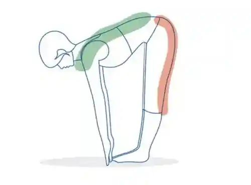 yoga position 6
