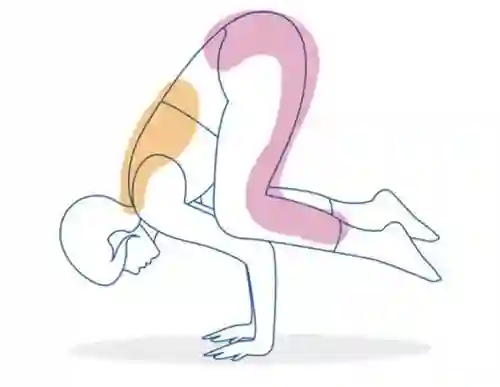 yoga position 8