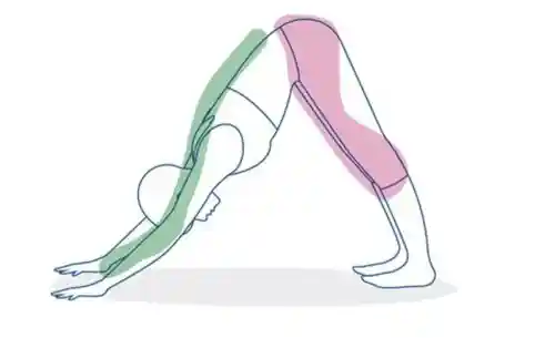 yoga position 3