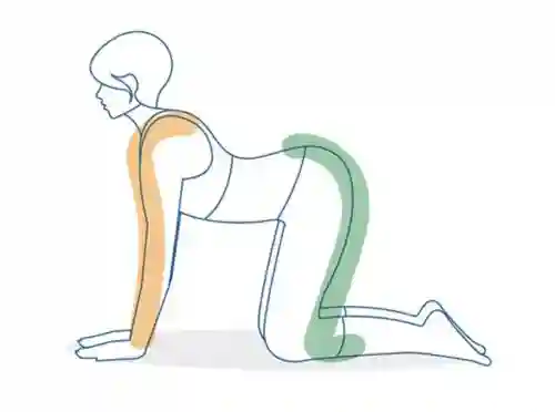 yoga position 2